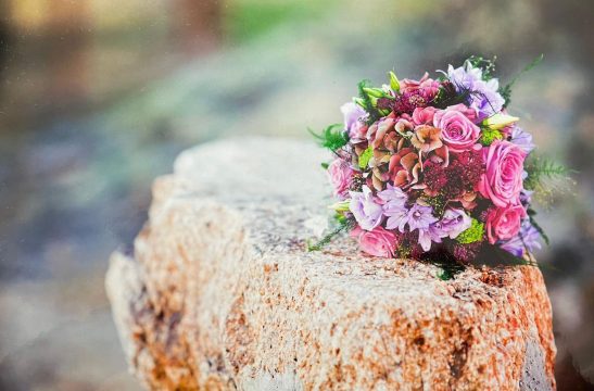 jorge-matilla-fotografo-eventos-bodas-raquel-luis-ramo